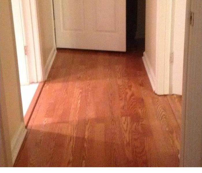wet wood flooring in a hallway