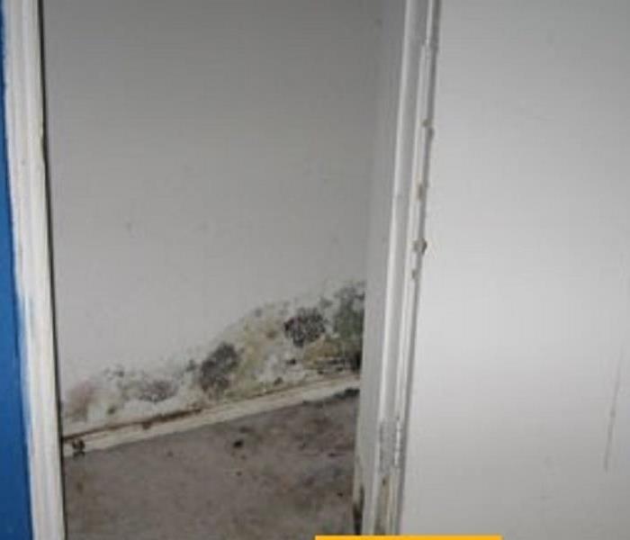 mold on walls in closet