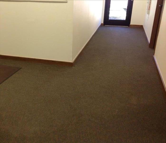 dried out carpeting