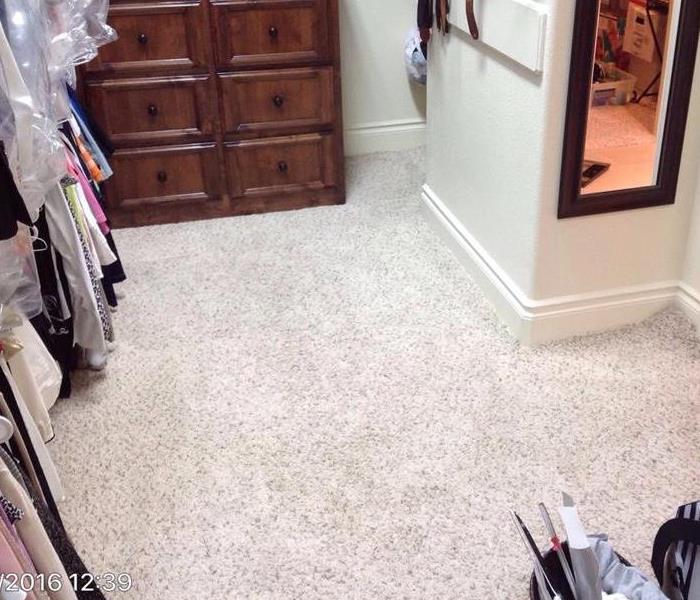 mold damaged carpeting flooring in master closet