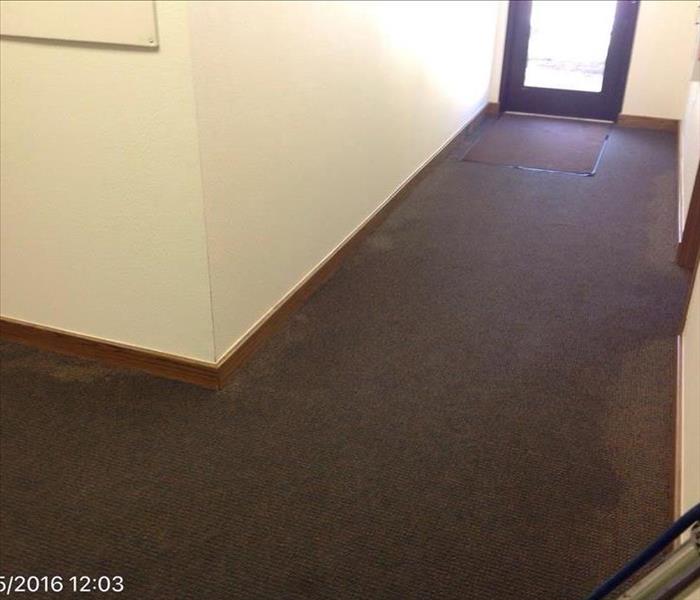 flooded carpeting in hallway