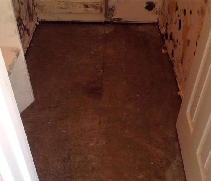 mold covered closet