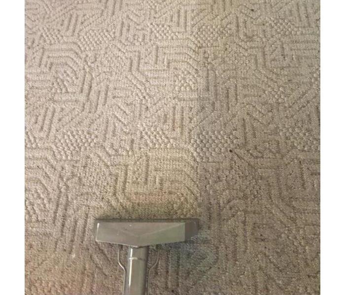 Side by side clean vs dirty carpeting